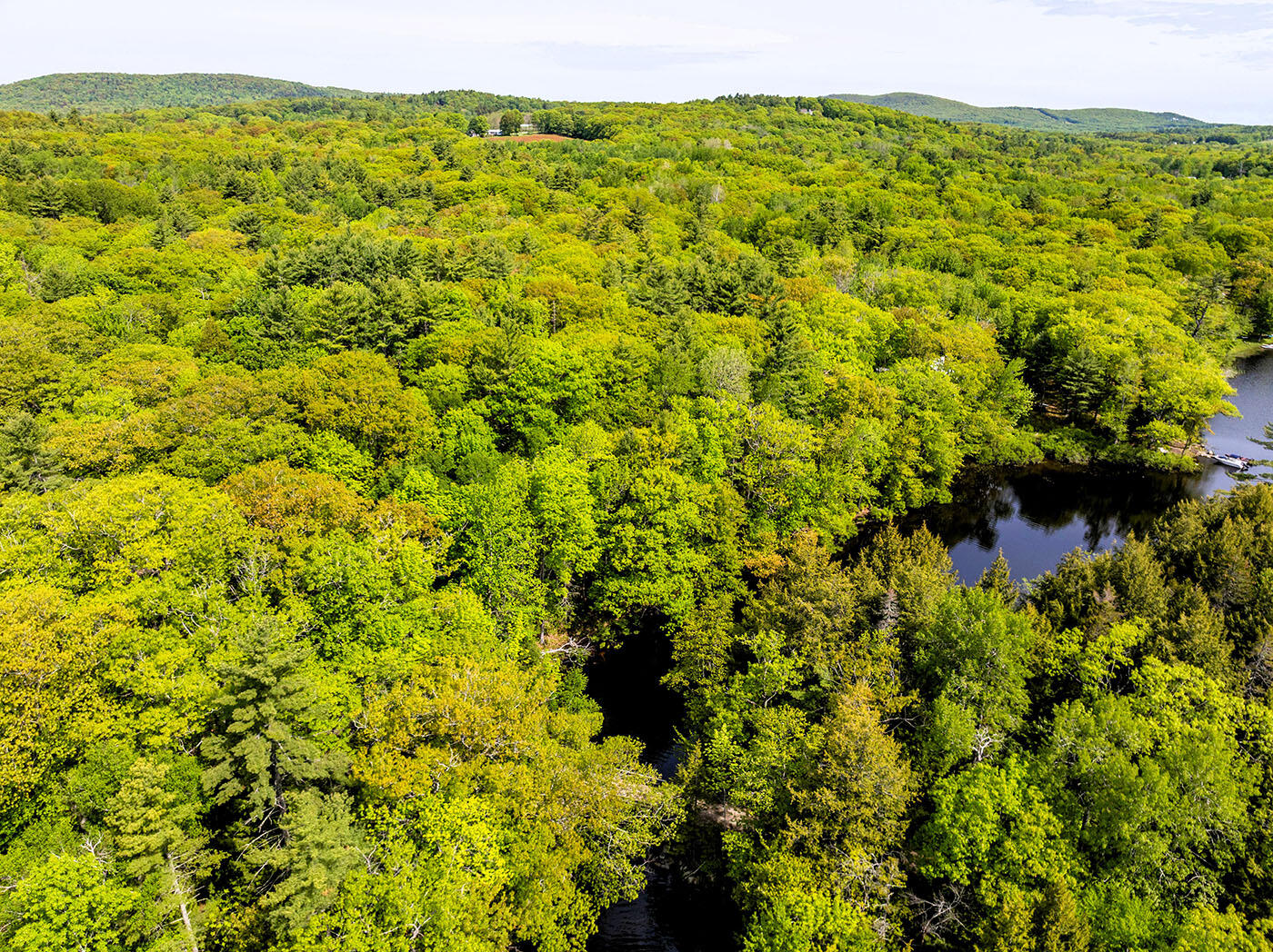 0 Narrows Road Lincolnville, ME 04849 - Photo 12 of 19 DJI_0699