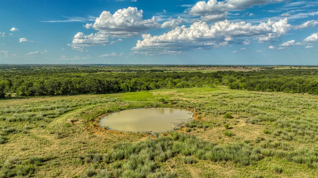 1140 Garvey Ranch Road Loving, TX 76460 - Photo 20 of 40 a view of a lake with a big yard