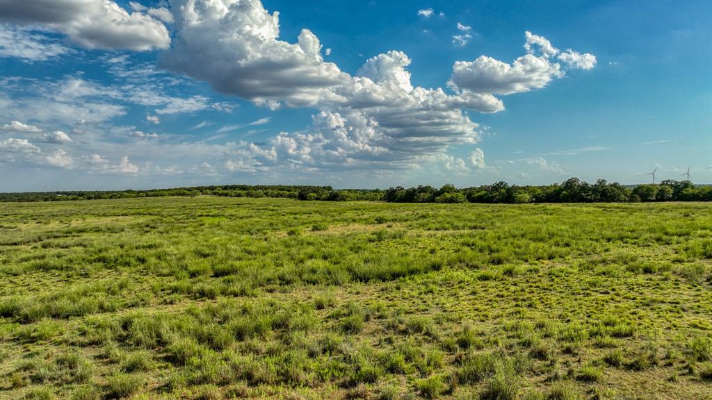 1140 Garvey Ranch Road Loving, TX 76460 - Photo 21 of 40 a view of a big yard