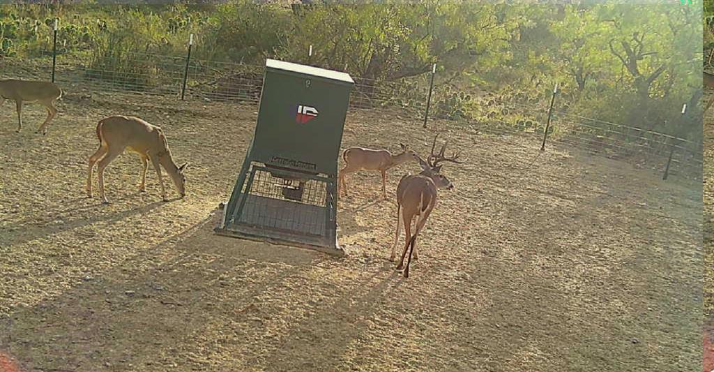 1140 Garvey Ranch Road Loving, TX 76460 - Photo 22 of 40 a bathroom with a shower