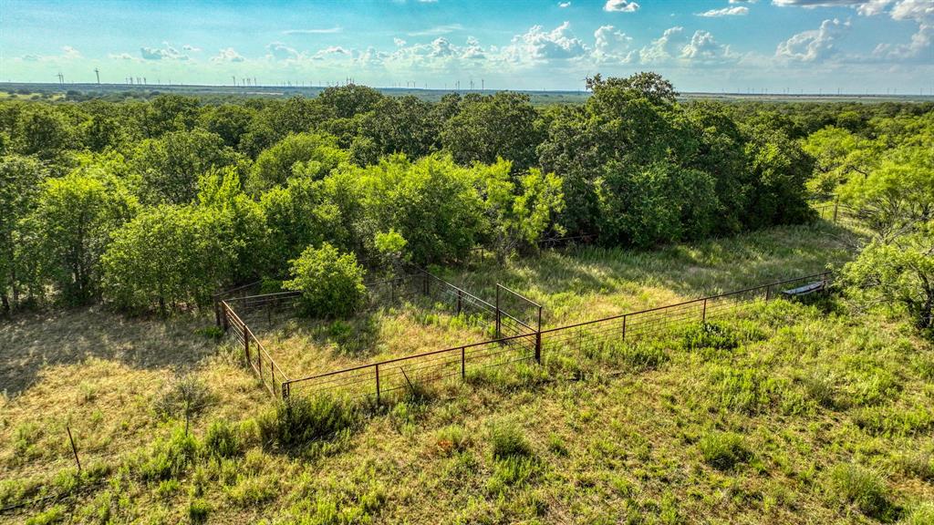 1140 Garvey Ranch Road Loving, TX 76460 - Photo 23 of 40 a view of a yard