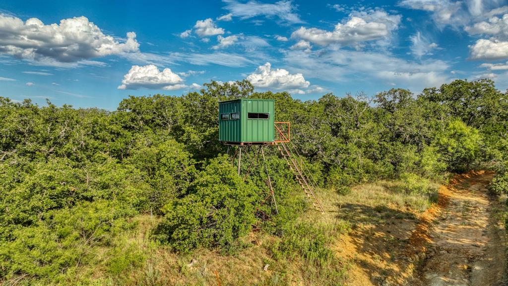 1140 Garvey Ranch Road Loving, TX 76460 - Photo 25 of 40 a view of a garden