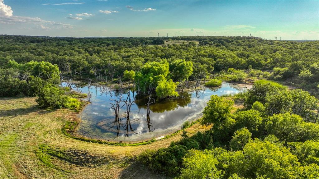 1140 Garvey Ranch Road Loving, TX 76460 - Photo 26 of 40 a view of a water pond
