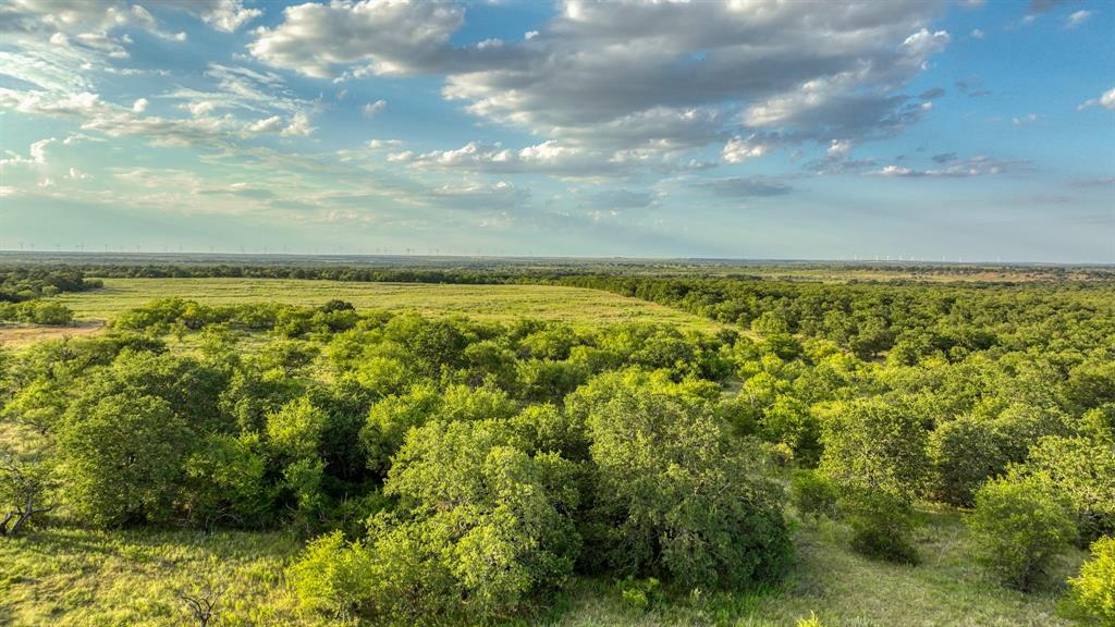 1140 Garvey Ranch Road Loving, TX 76460 - Photo 28 of 40