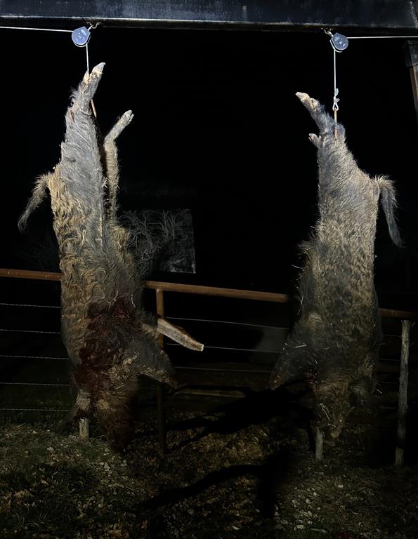 1140 Garvey Ranch Road Olney, TX 76374 - Photo 28 of 40