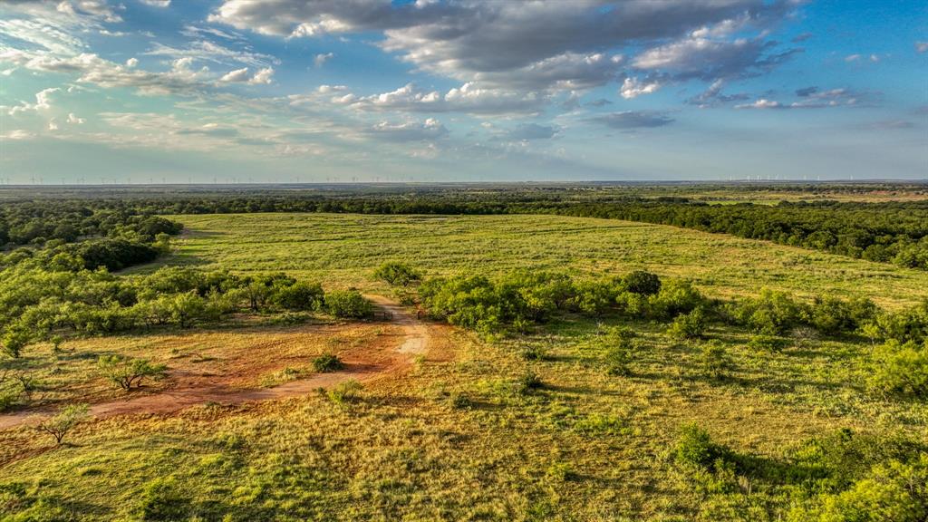 1140 Garvey Ranch Road Loving, TX 76460 - Photo 30 of 40 a view of an ocean view
