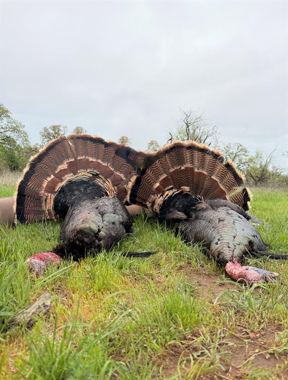 1140 Garvey Ranch Road Olney, TX 76374 - Photo 32 of 40