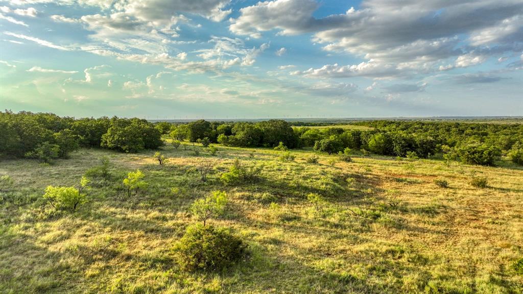 1140 Garvey Ranch Road Loving, TX 76460 - Photo 36 of 40 a view of a lake view