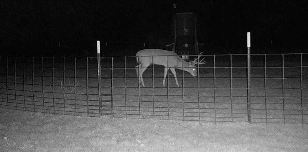 1140 Garvey Ranch Road Loving, TX 76460 - Photo 37 of 40 a bathroom with a shower