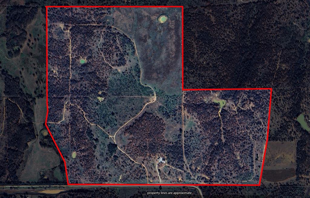 1140 Garvey Ranch Road Loving, TX 76460 - Photo 40 of 40 a view of a yard with wooden fence