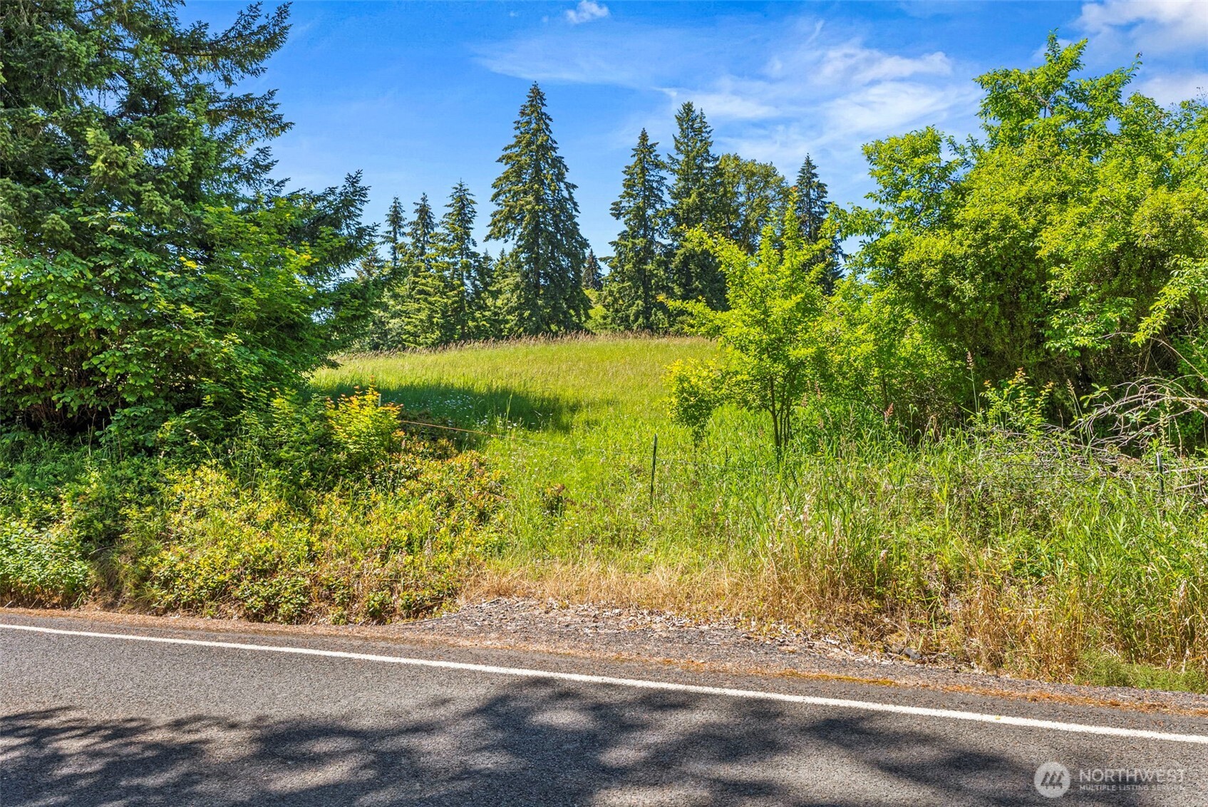 0 Ramsey Road Chehalis, WA 98532 - Photo 5 of 14