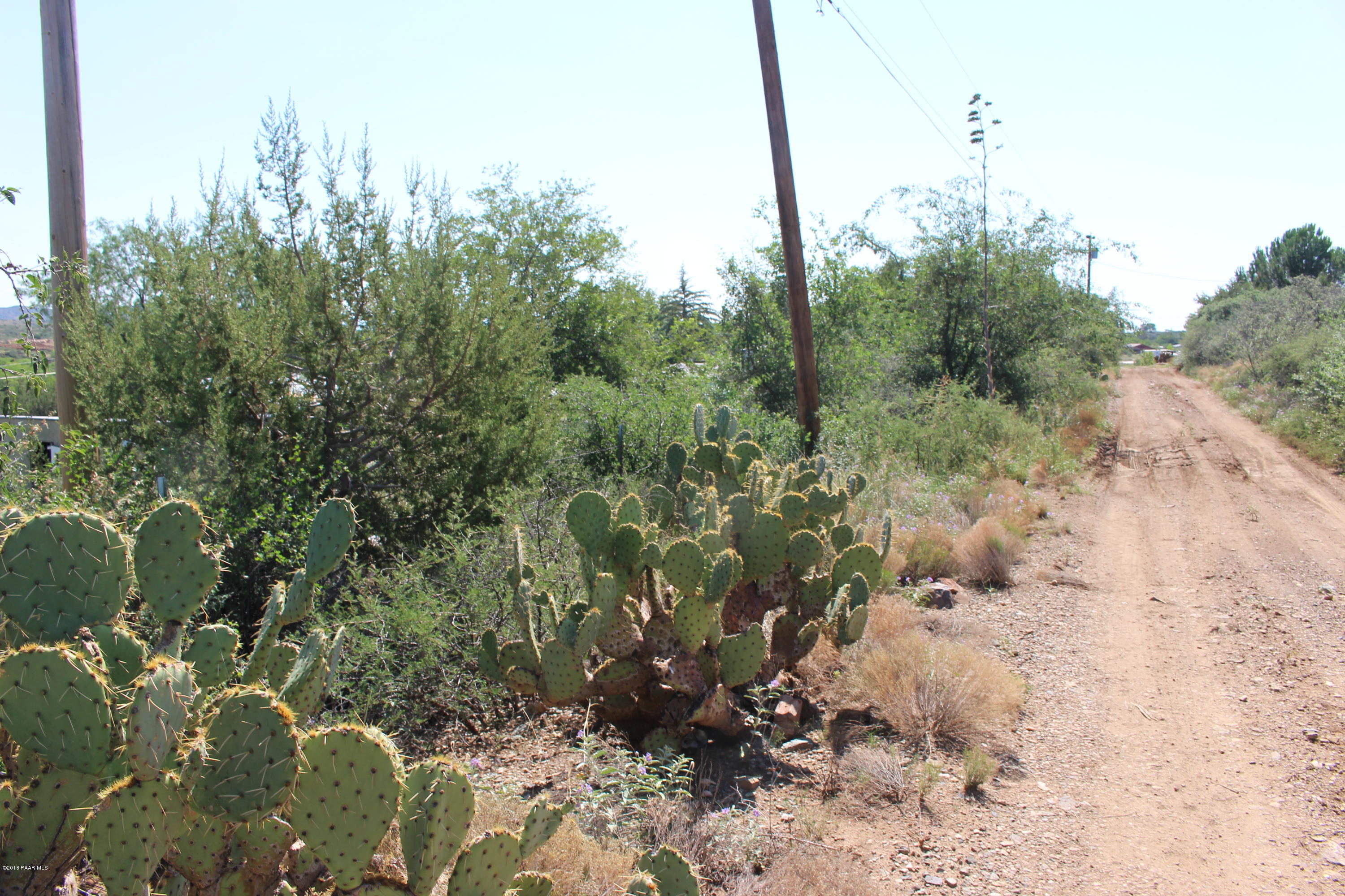 12310 Jacobs Road Mayer, AZ 86333 - Photo 8 of 10 IMG_3045