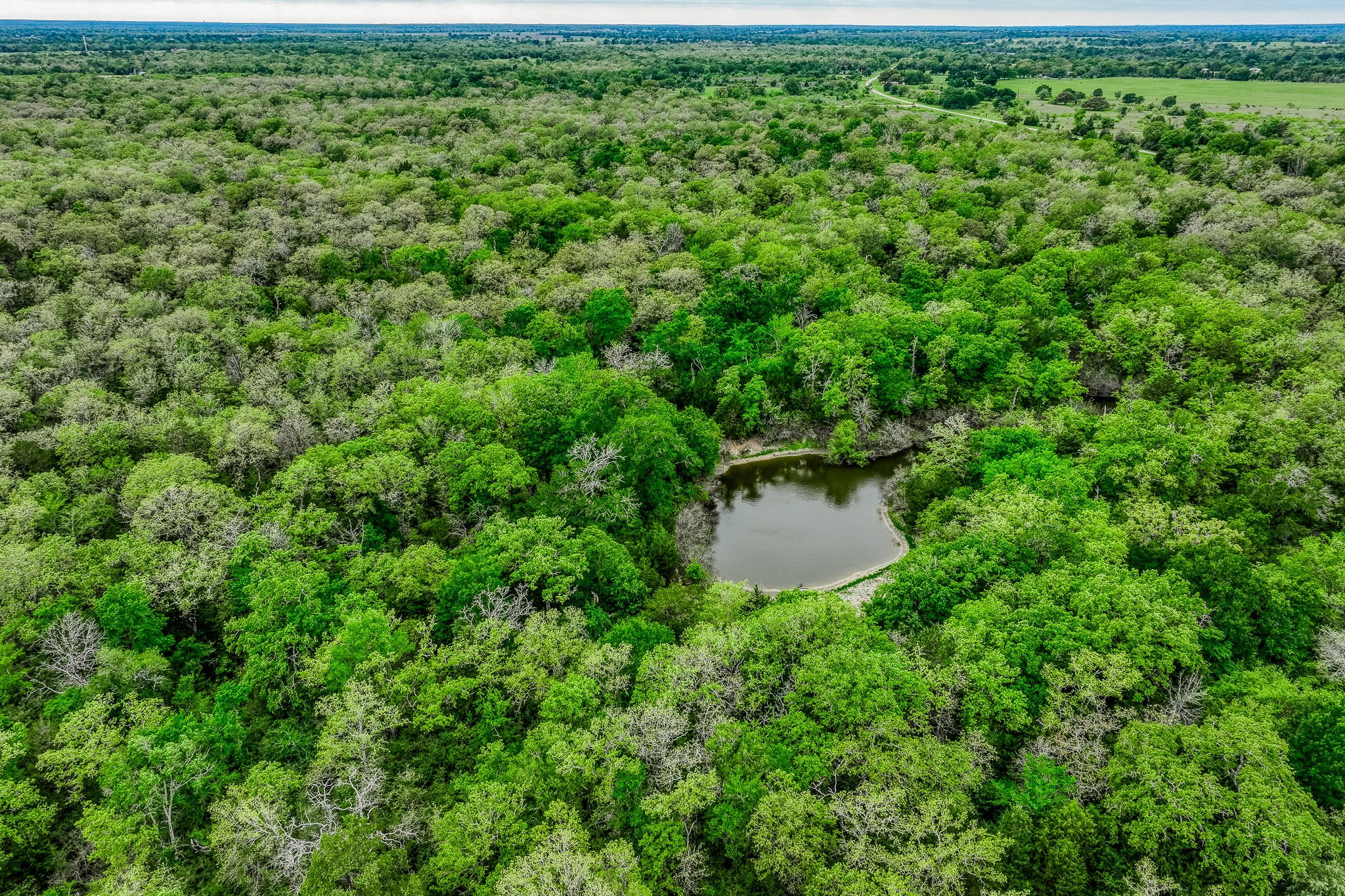 125 Ledbetter Tx 78946 Ledbetter, TX 78946 - Photo 11 of 50