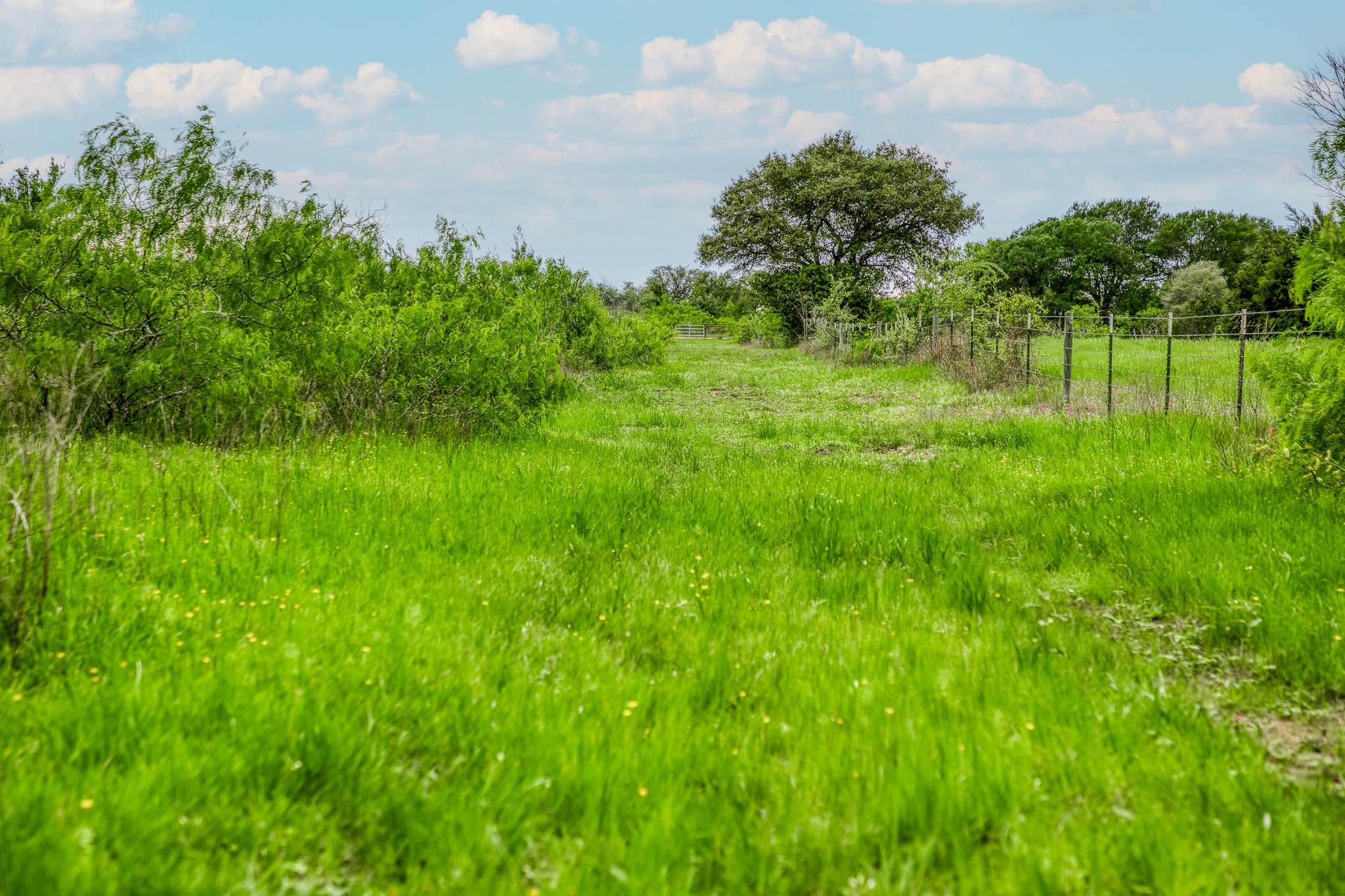 125 Ledbetter Tx 78946 Ledbetter, TX 78946 - Photo 16 of 50