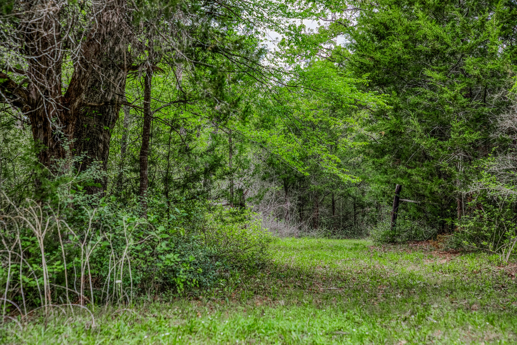 125 Ledbetter Tx 78946 Ledbetter, TX 78946 - Photo 20 of 50