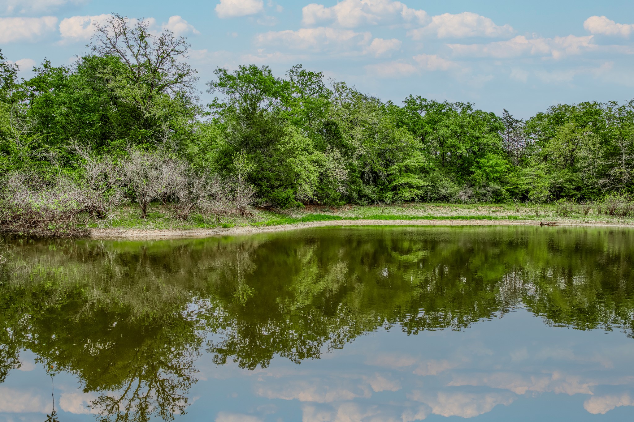 125 Ledbetter Tx 78946 Ledbetter, TX 78946 - Photo 21 of 50 a view of a lake with a yard