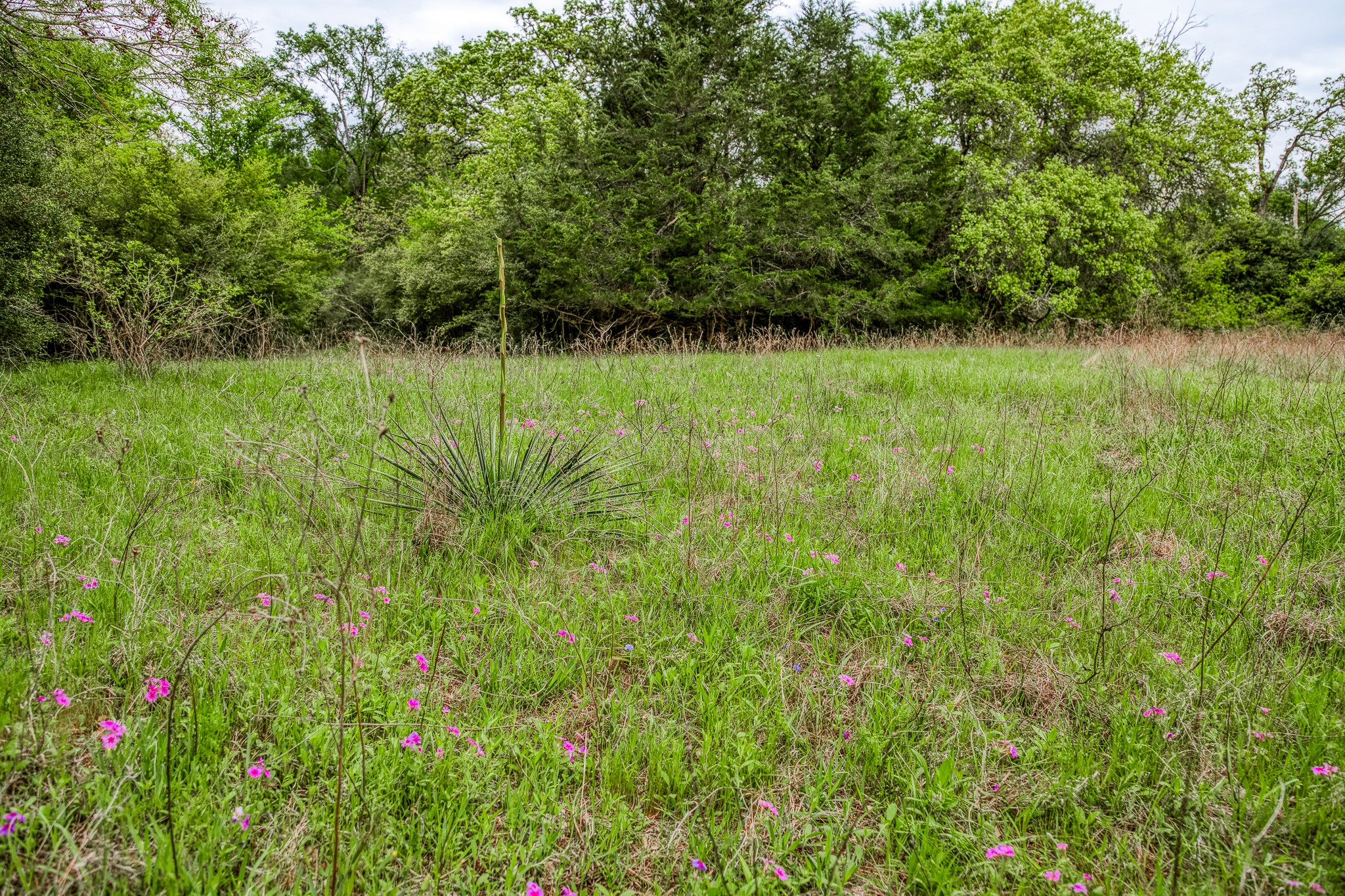 125 Ledbetter Tx 78946 Ledbetter, TX 78946 - Photo 22 of 50
