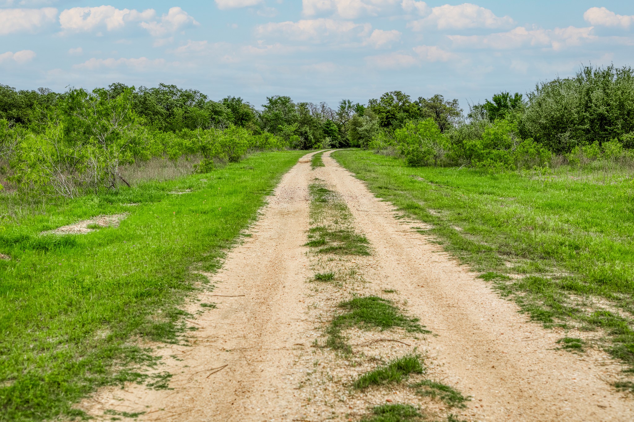 125 Ledbetter Tx 78946 Ledbetter, TX 78946 - Photo 24 of 50