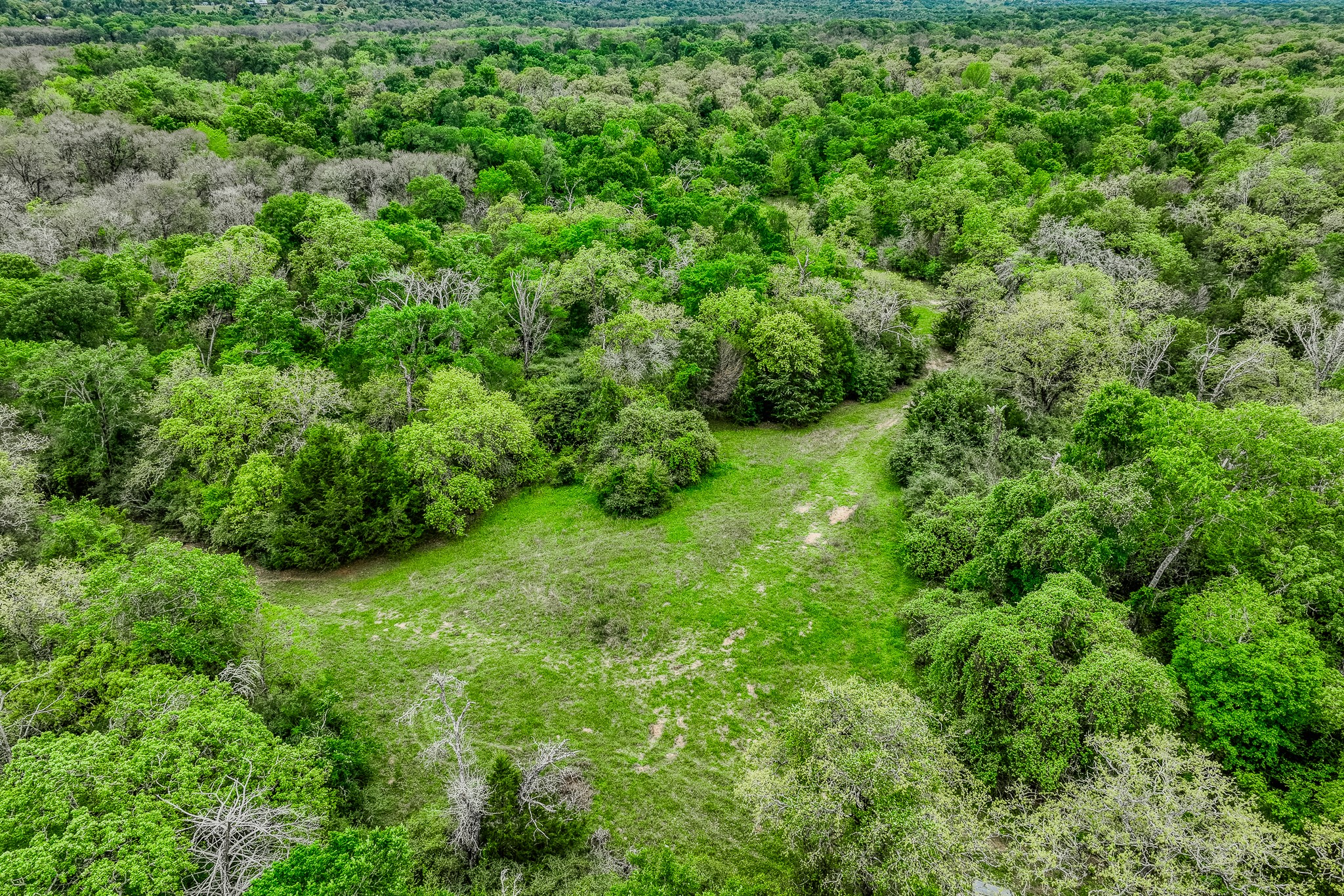 125 Ledbetter Tx 78946 Ledbetter, TX 78946 - Photo 29 of 50