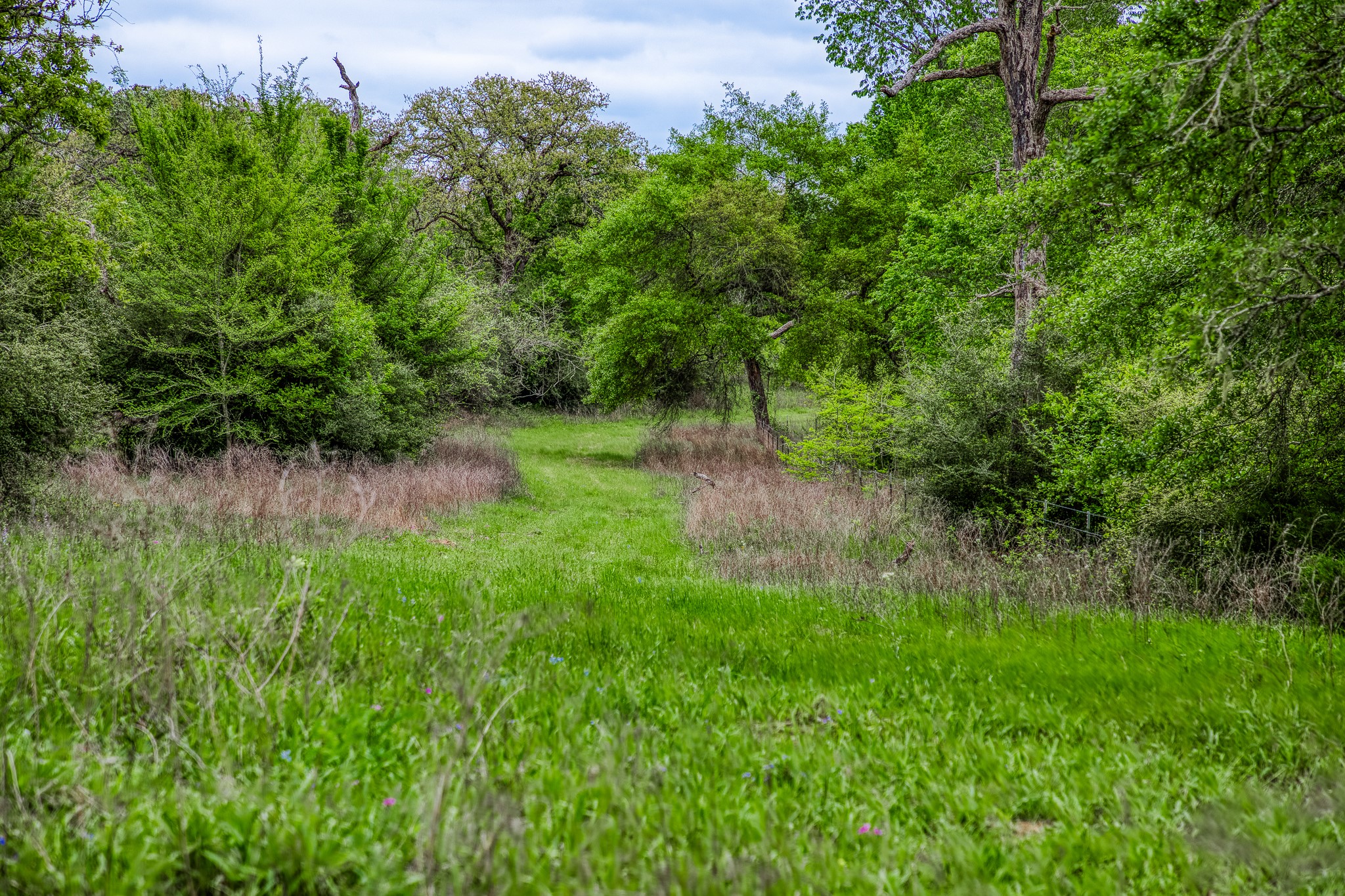 125 Ledbetter Tx 78946 Ledbetter, TX 78946 - Photo 3 of 50