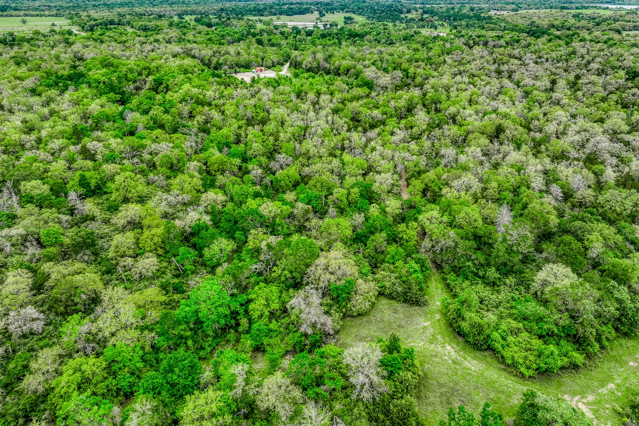 125 Ledbetter Tx 78946 Ledbetter, TX 78946 - Photo 32 of 50