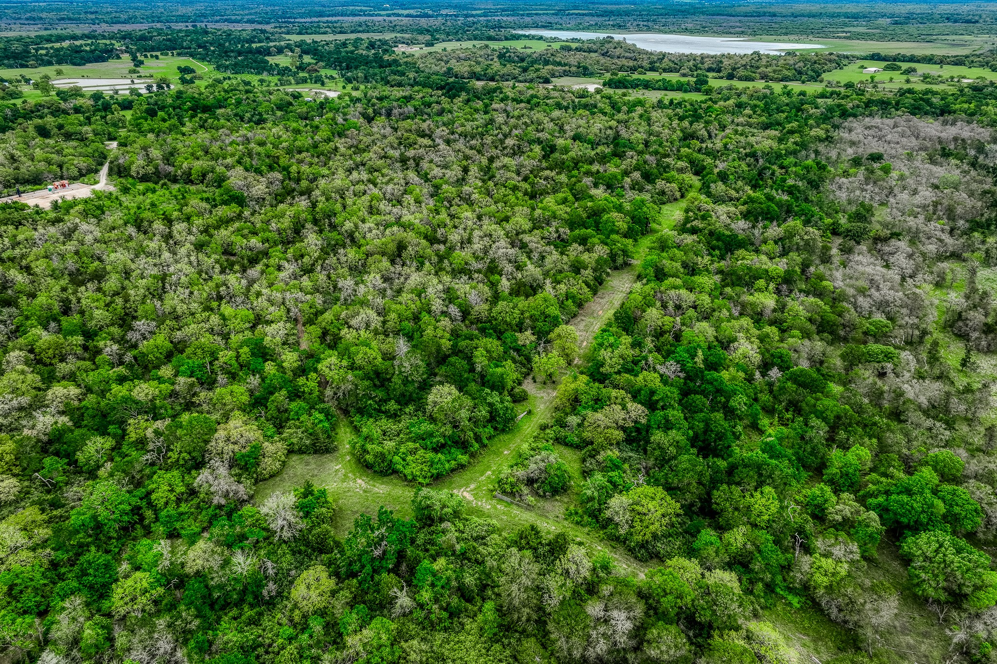 125 Ledbetter Tx 78946 Ledbetter, TX 78946 - Photo 34 of 50 a view of a lush green forest