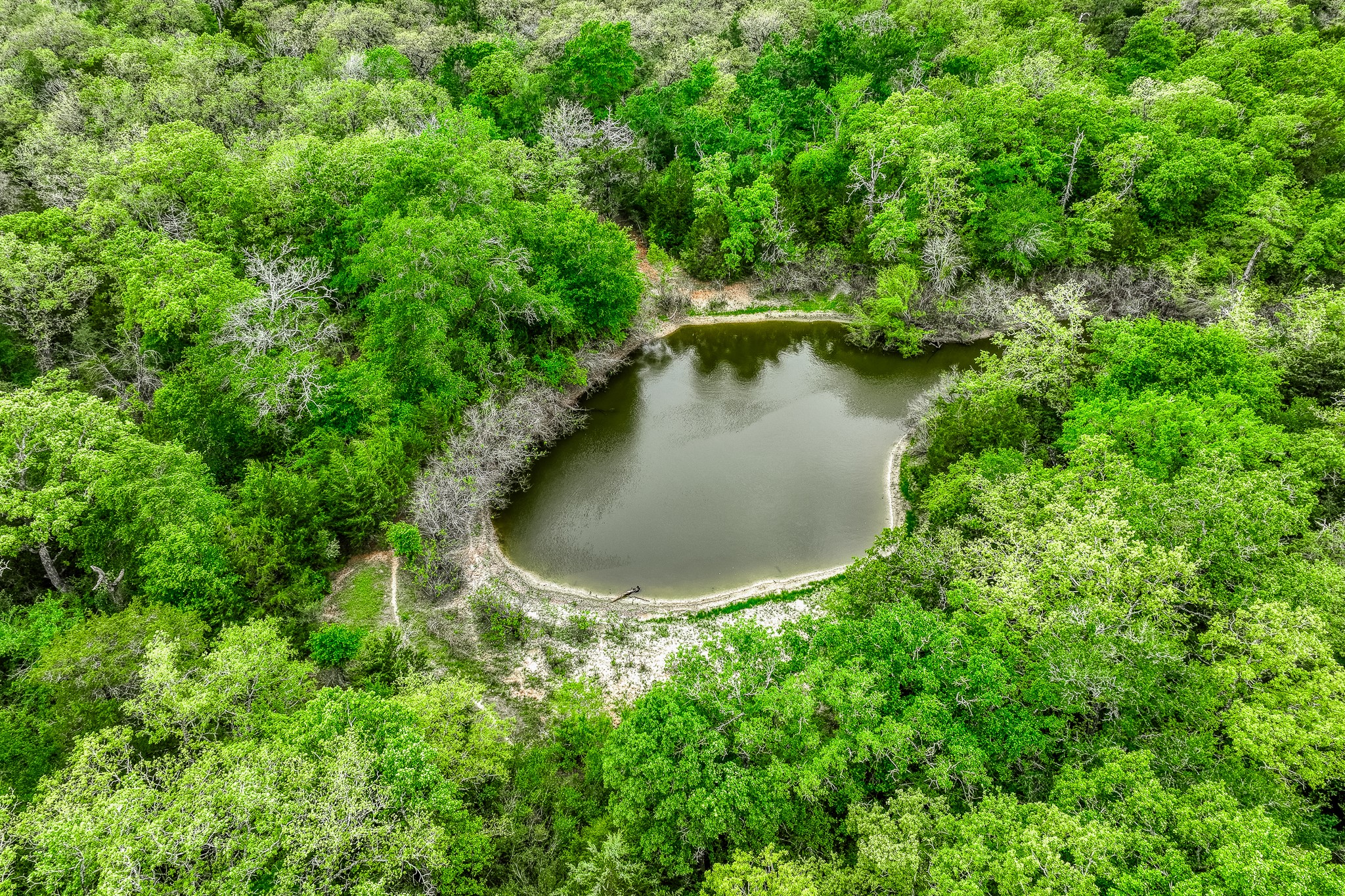 125 Ledbetter Tx 78946 Ledbetter, TX 78946 - Photo 35 of 50 an aerial view of a house with a yard and large trees