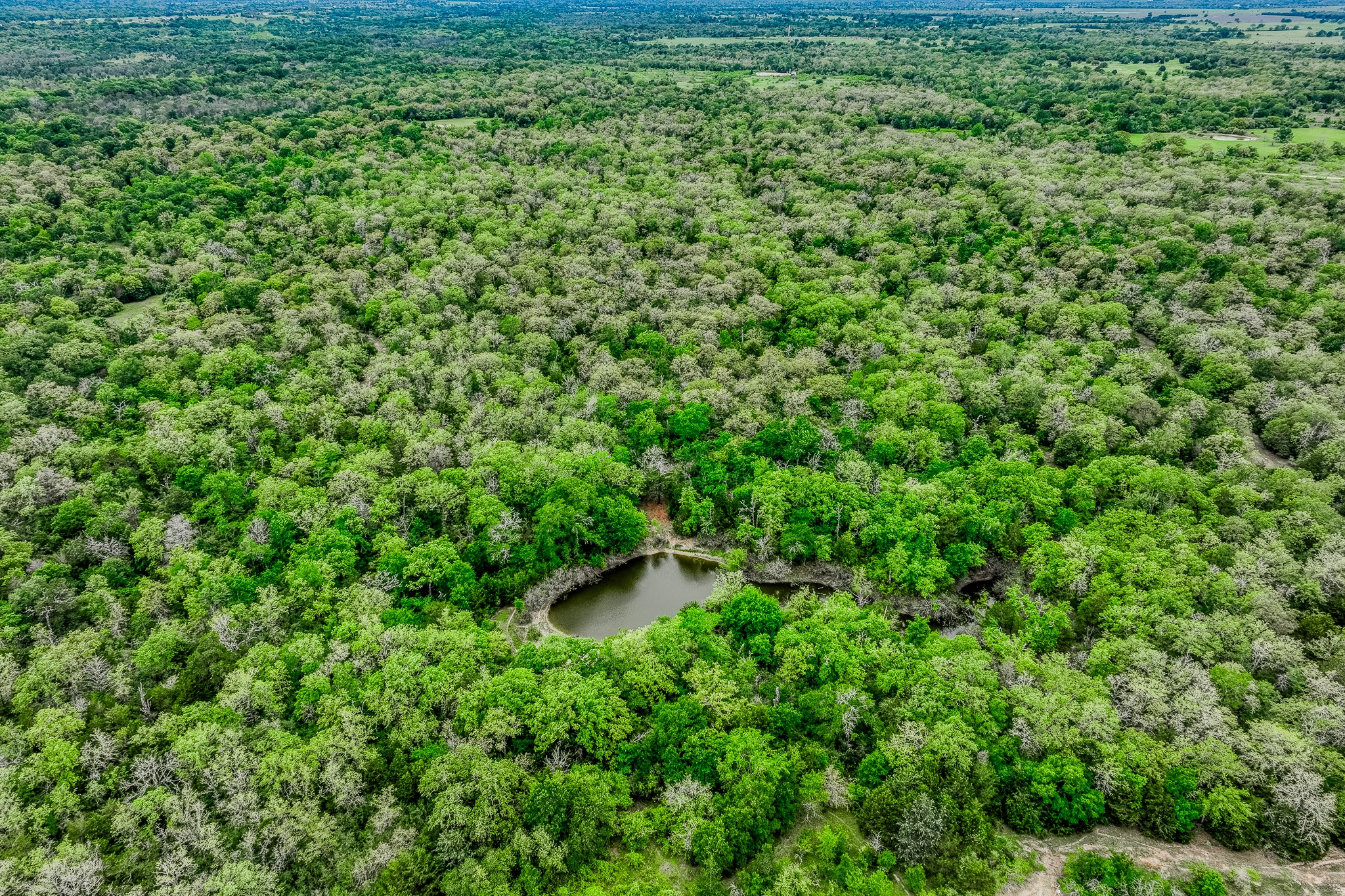 125 Ledbetter Tx 78946 Ledbetter, TX 78946 - Photo 38 of 50