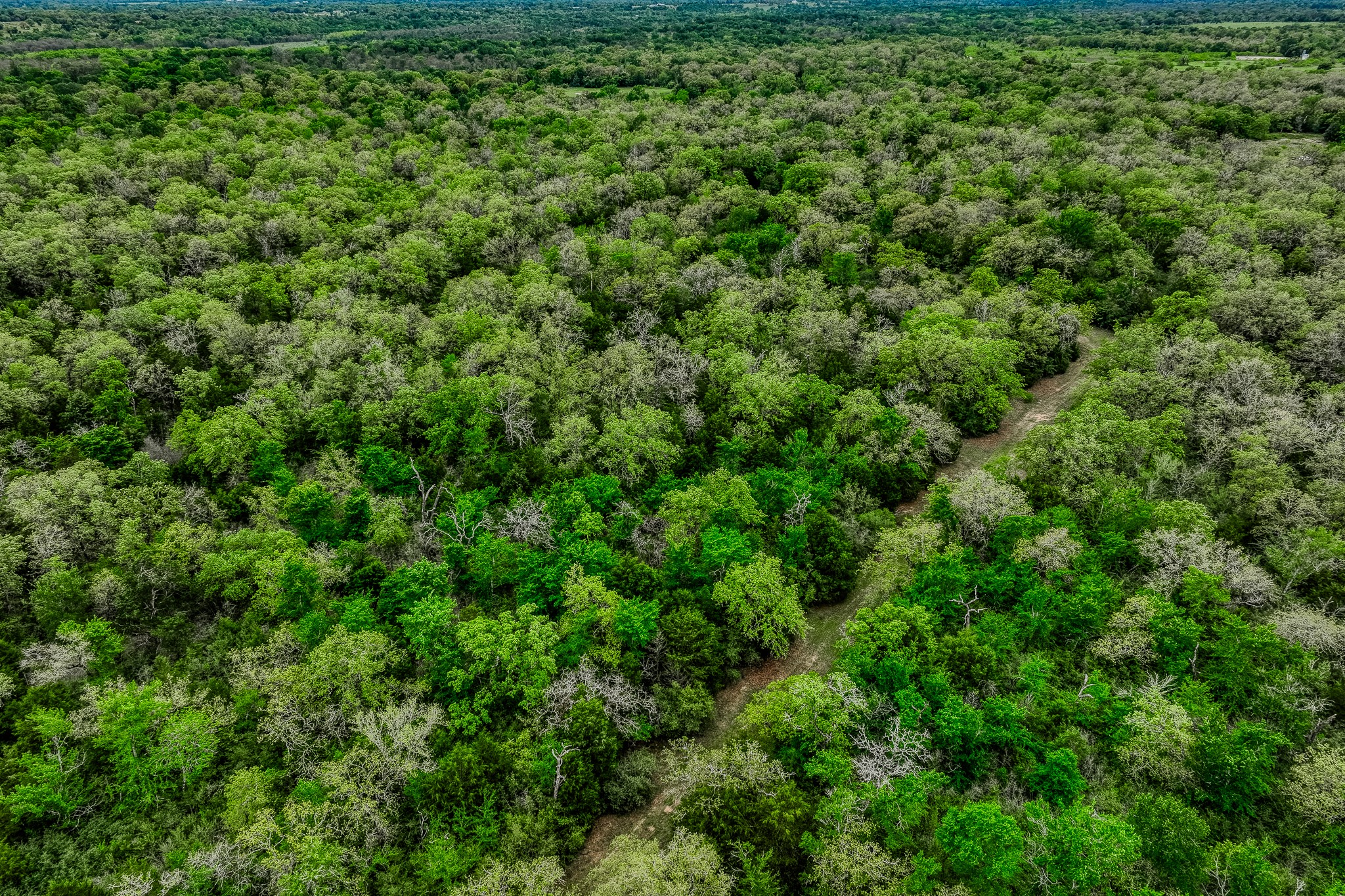 125 Ledbetter Tx 78946 Ledbetter, TX 78946 - Photo 39 of 50