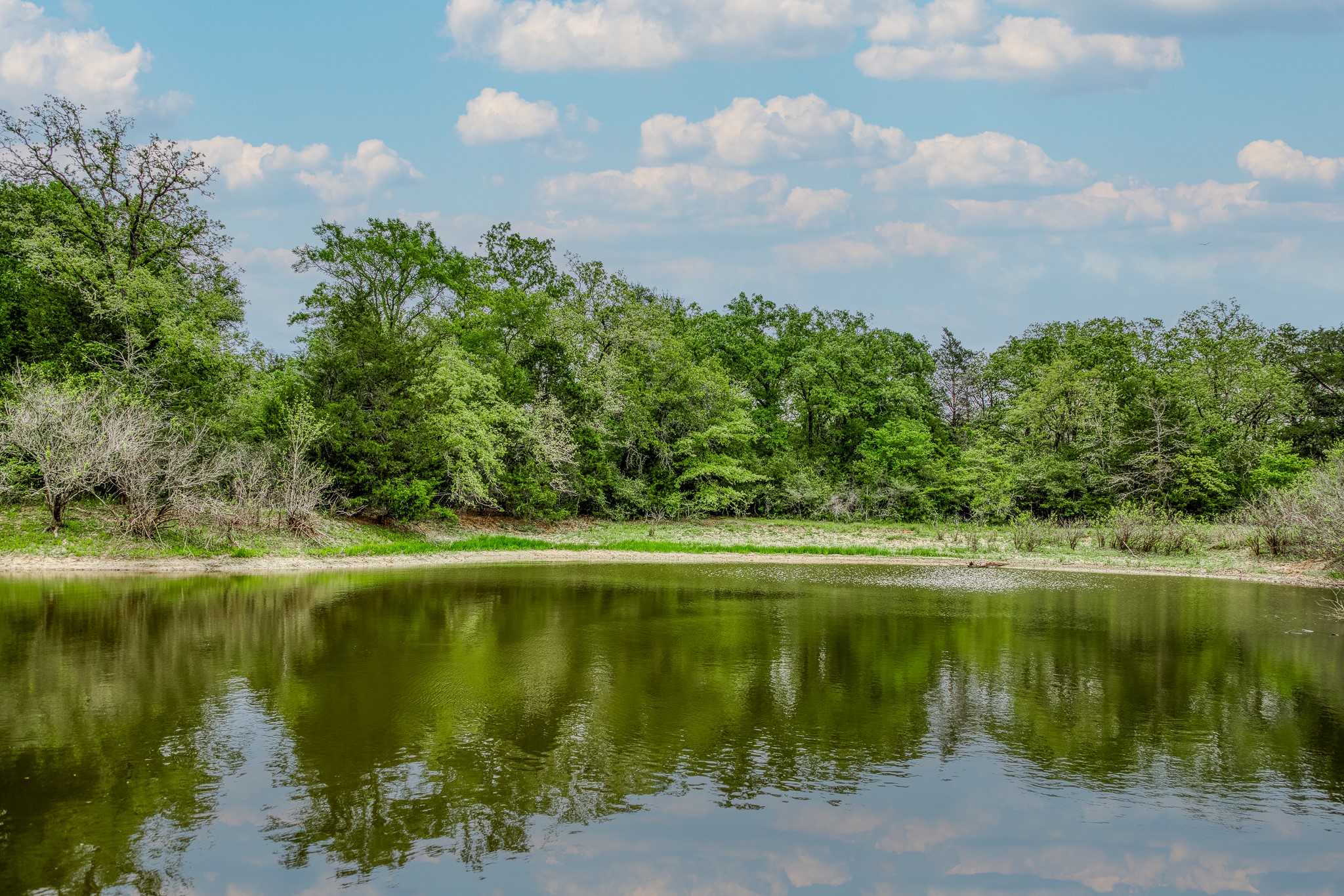 125 Ledbetter Tx 78946 Ledbetter, TX 78946 - Photo 4 of 50 a view of a lake with a yard