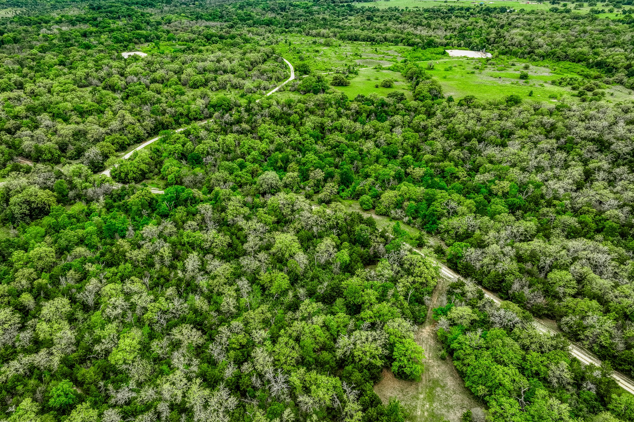 125 Ledbetter Tx 78946 Ledbetter, TX 78946 - Photo 42 of 50 a view of a lush green forest