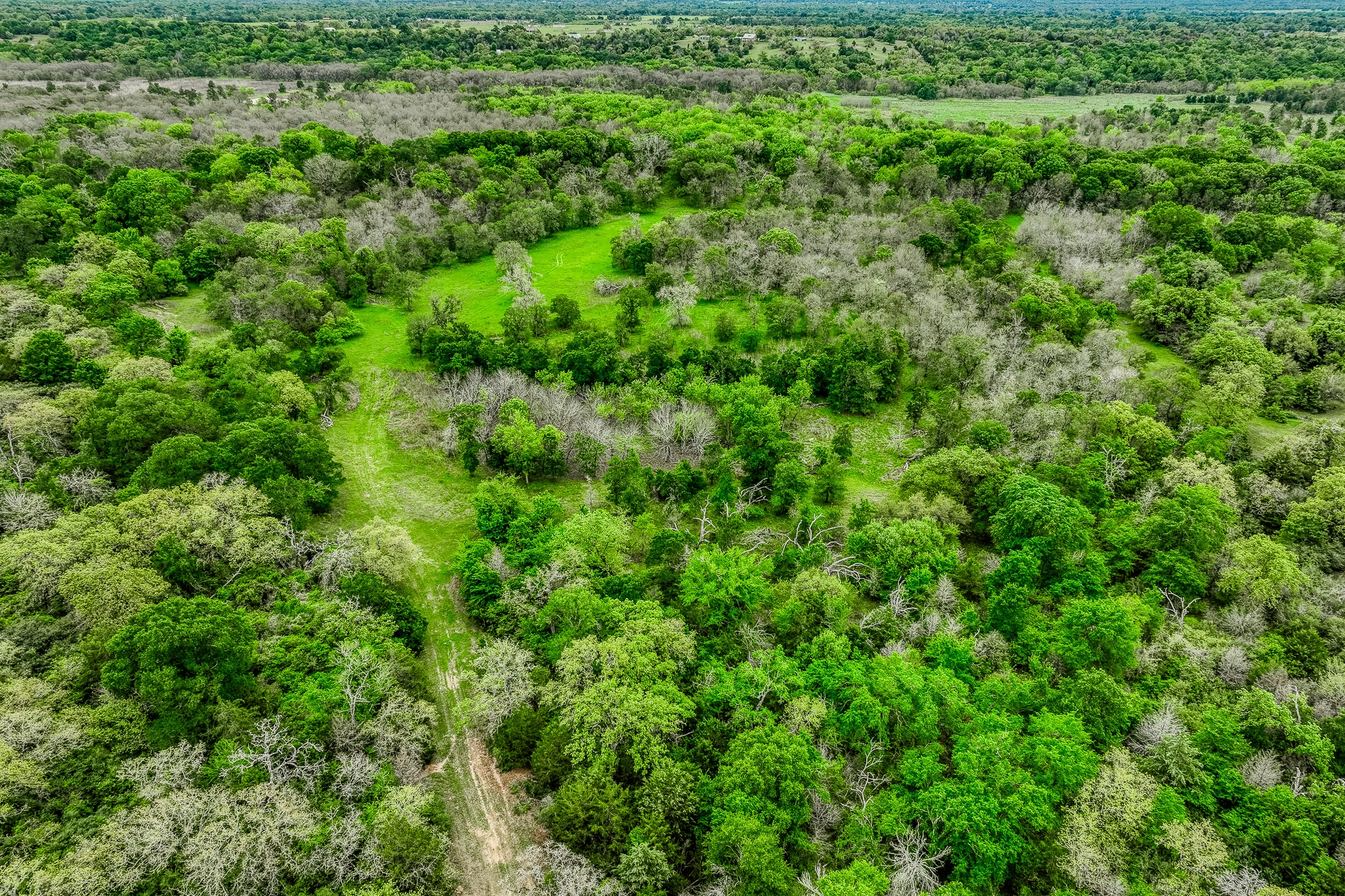 125 Ledbetter Tx 78946 Ledbetter, TX 78946 - Photo 45 of 50 a view of a lush green forest with lawn chairs and plants