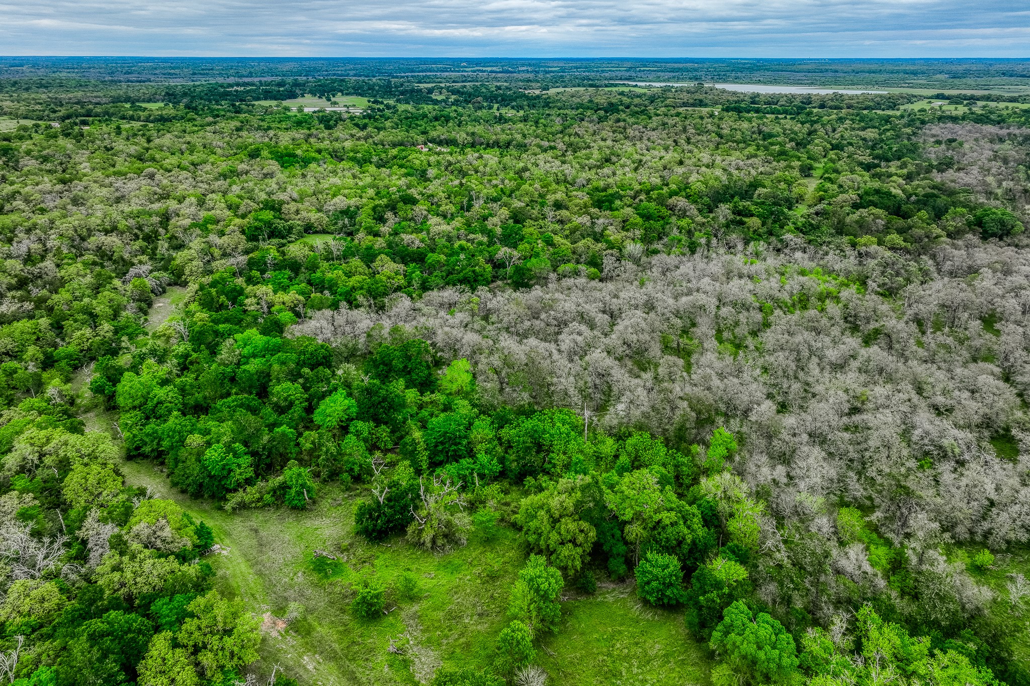 125 Ledbetter Tx 78946 Ledbetter, TX 78946 - Photo 47 of 50 a view of a garden with a chair