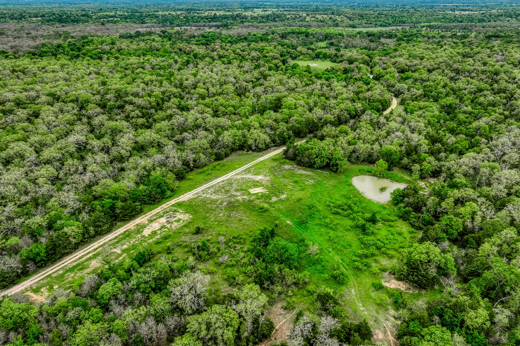 125 Ledbetter Tx 78946 Ledbetter, TX 78946 - Photo 48 of 50 a view of a lush green forest with large trees