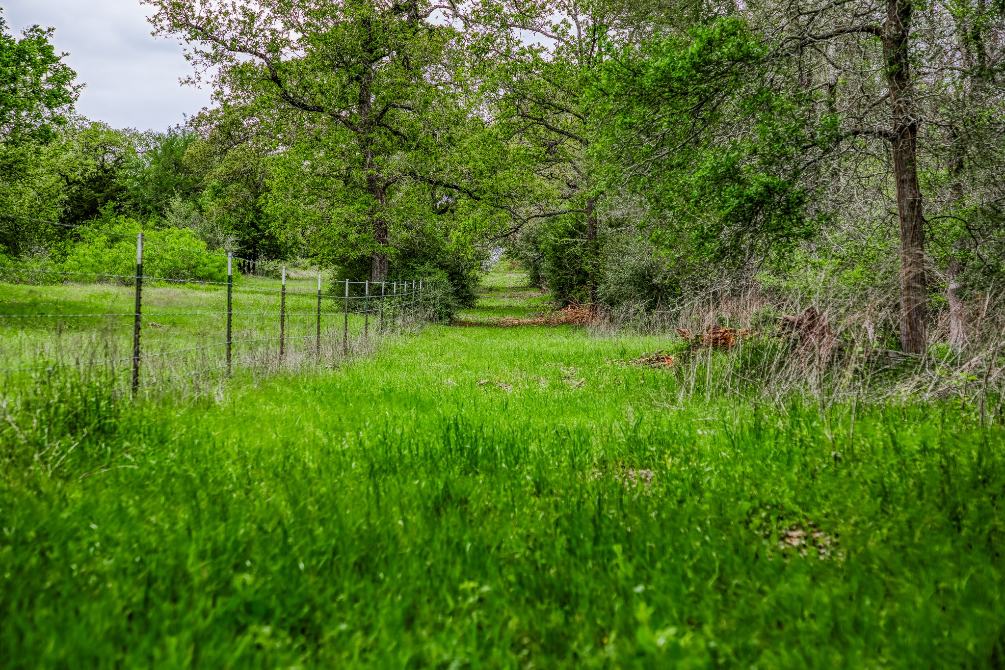 125 Ledbetter Tx 78946 Ledbetter, TX 78946 - Photo 6 of 50 a view of a garden with a lake