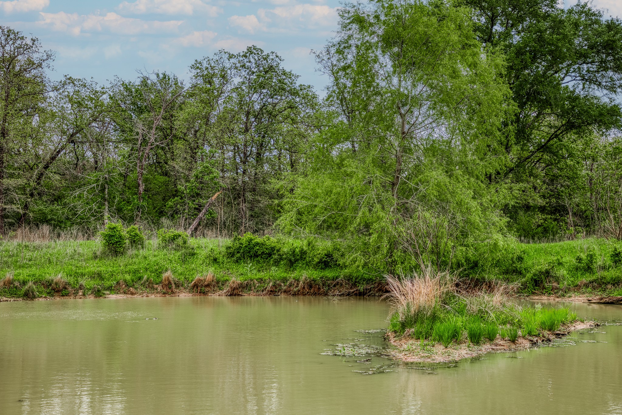 125 Ledbetter Tx 78946 Ledbetter, TX 78946 - Photo 7 of 50 a view of a lake view with houses in the back