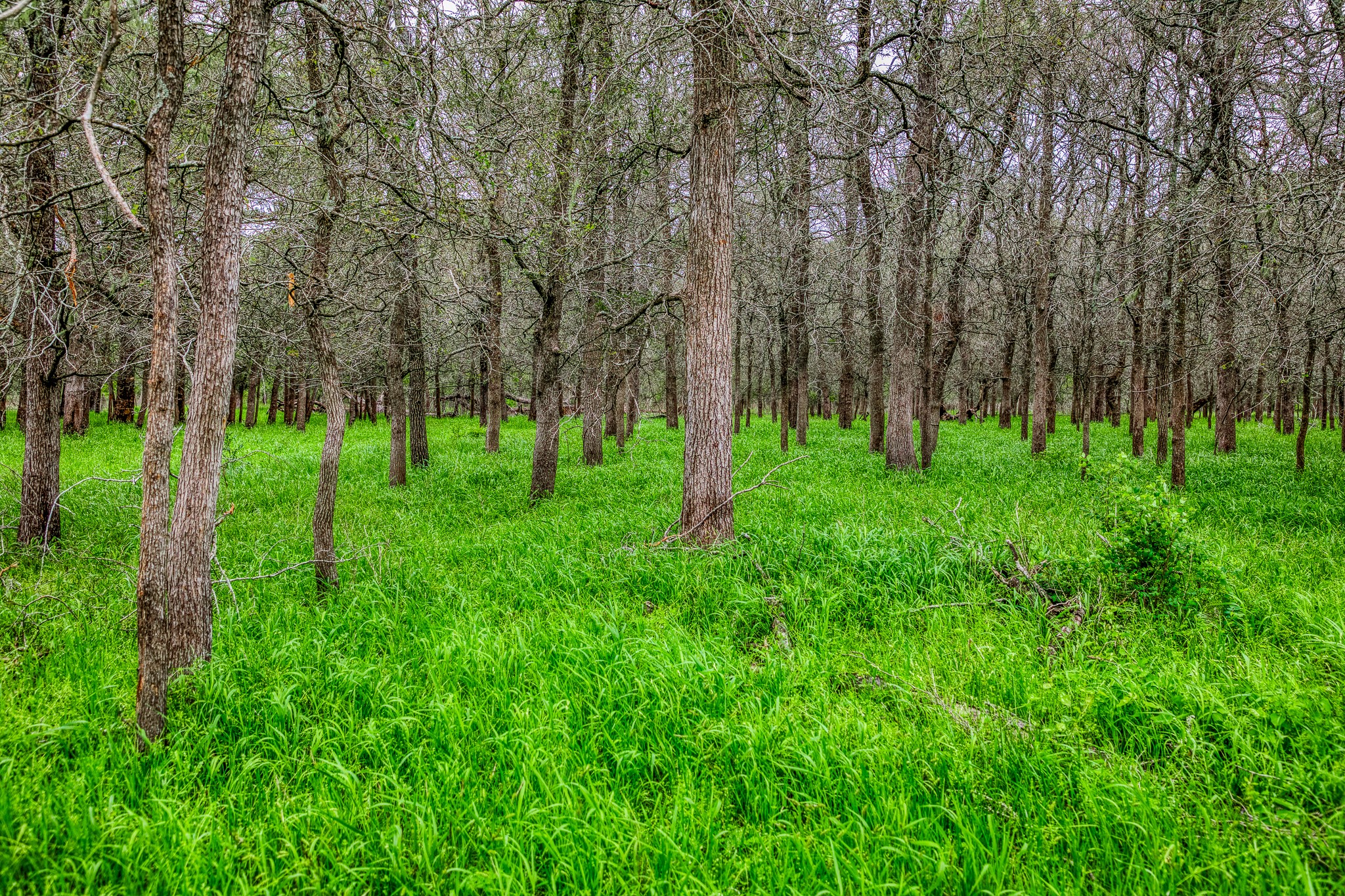 125 Ledbetter Tx 78946 Ledbetter, TX 78946 - Photo 9 of 50