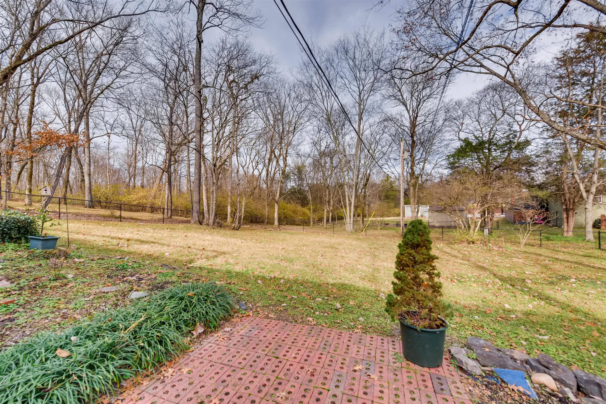 1100 Sparta Road Nashville, TN 37205 - Photo 28 of 29 a view of yard with tree