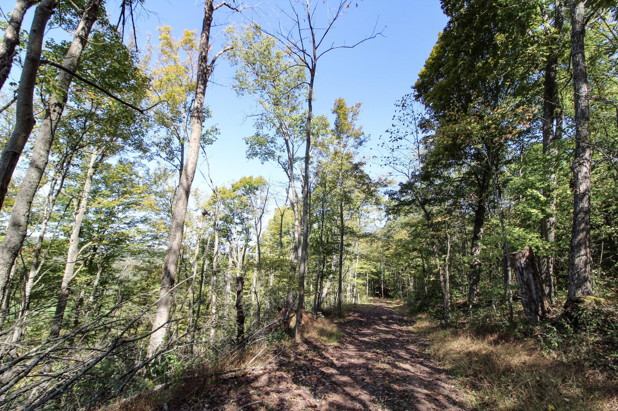 Lot 1 Brooks Road Marietta, OH 45750 - Photo 6 of 23 5-IMG_9083