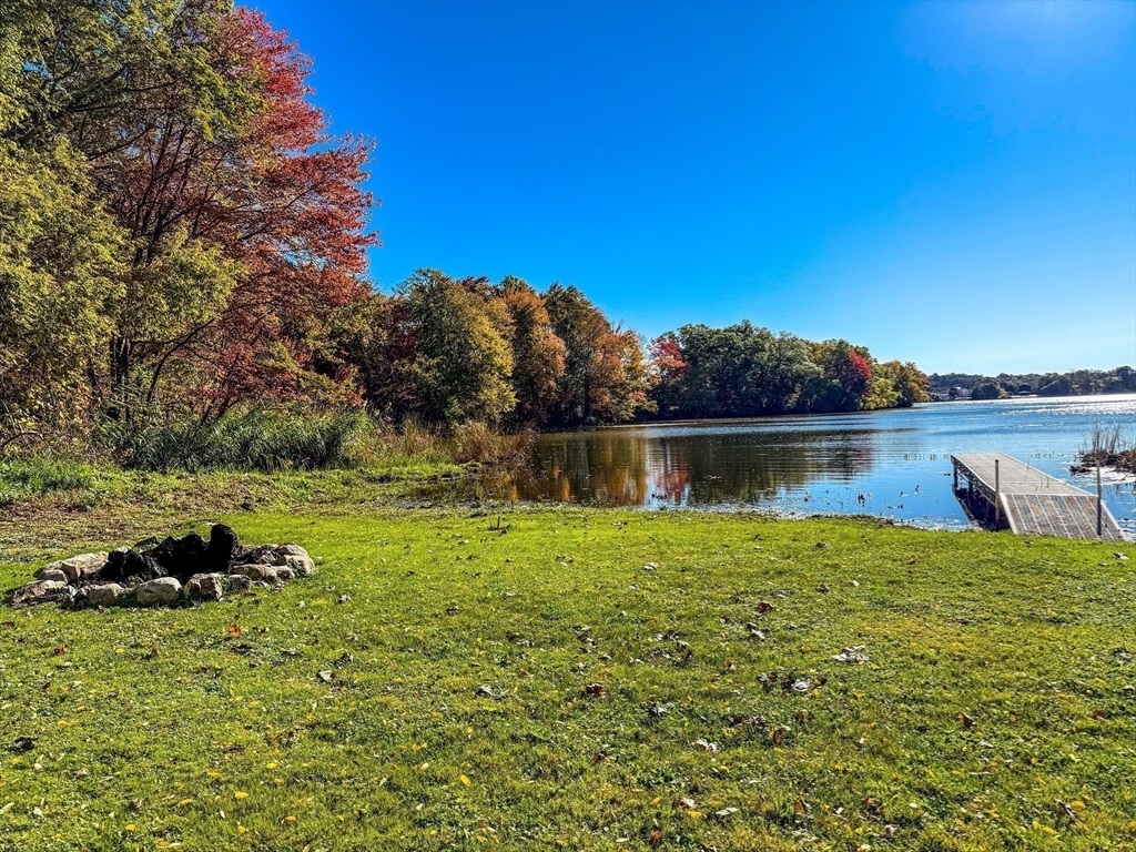a view of a backyard with plants and lake view