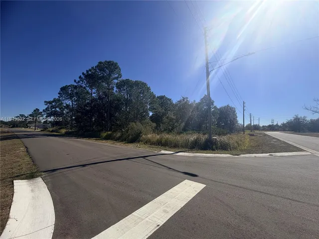 a view of city street with a large trees