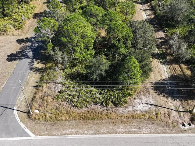 a view of a yard with plants and a bench