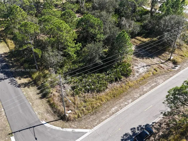 a view of a yard with wooden fence and two plants