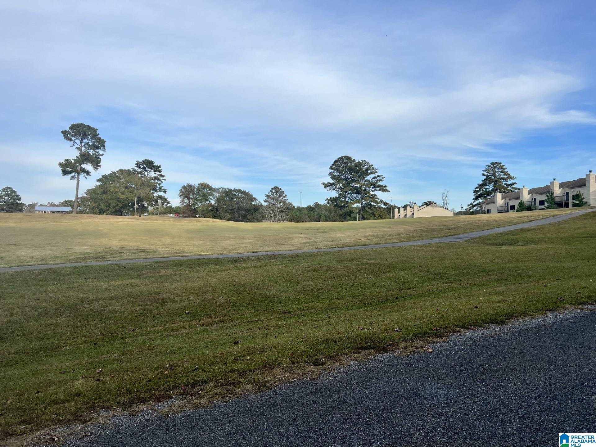 Jones Road, Unit 2 Alpine, AL 35014 - Photo 4 of 4