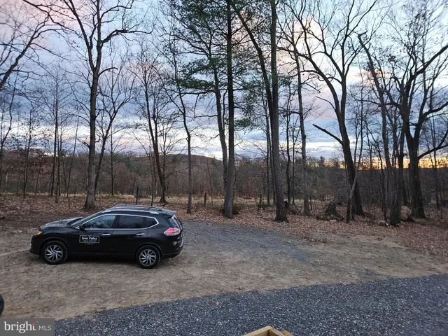 a view of cars parked on a road near a forest