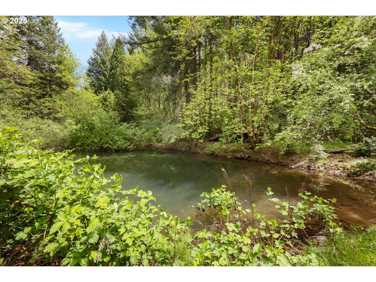 2128 Starveout Creek Road Azalea, OR 97410 - Photo 2 of 32