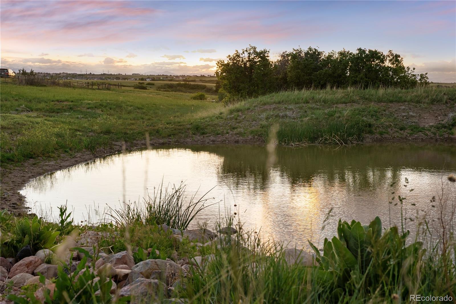 4347 Crowfoot Valley Road Castle Rock, CO 80108 - Photo 44 of 50
