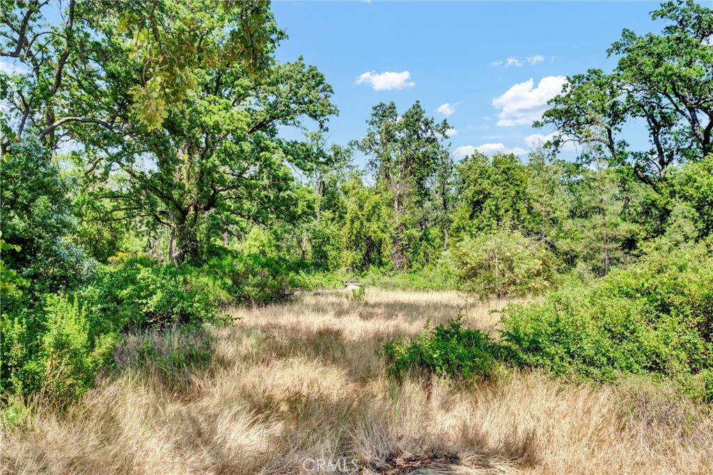 22550 Shady Grove Road Middletown, CA 95461 - Photo 44 of 68