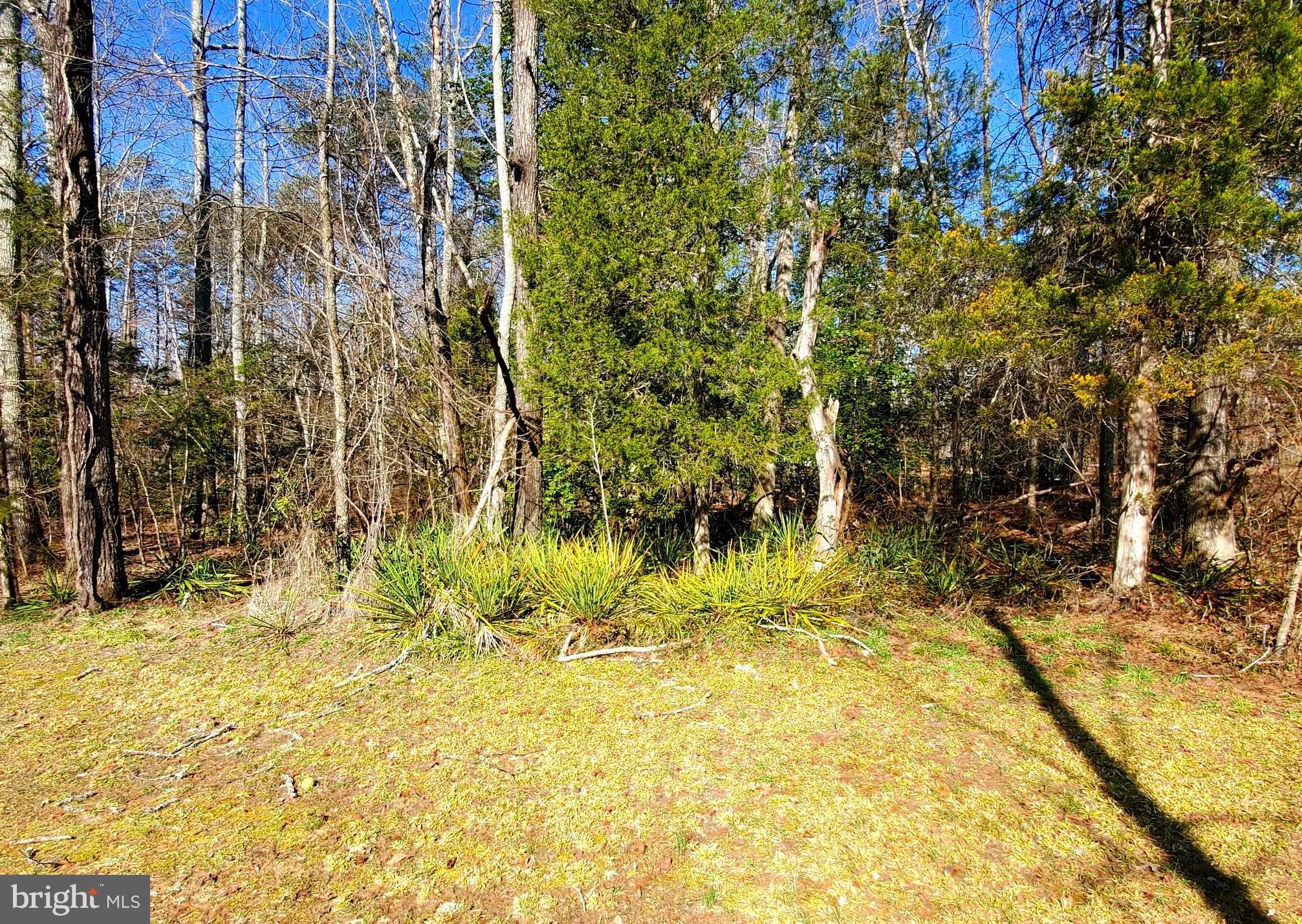 494 Winding Ridge Way Bumpass, VA 23024 - Photo 7 of 57