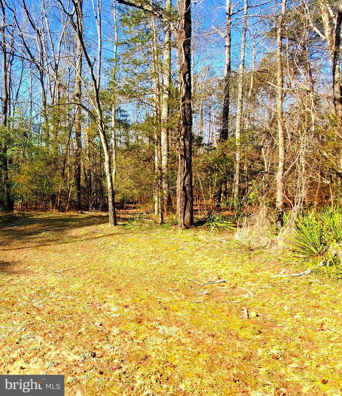 494 Winding Ridge Way Bumpass, VA 23024 - Photo 10 of 57